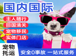 景德镇罗家机场物流国际宠物托运 【国